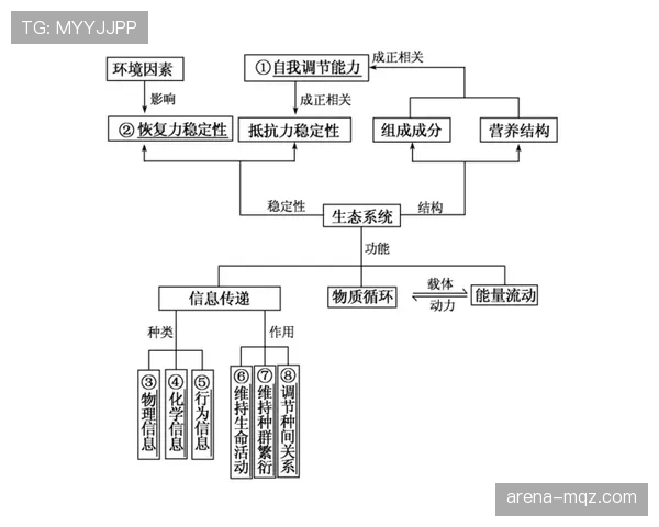 巴斯托尼高位逼抢体系中的出球稳定性解析